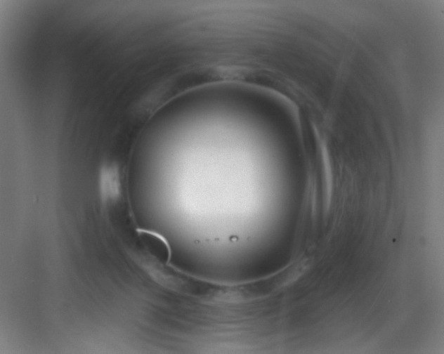 X0000082930075200702081552