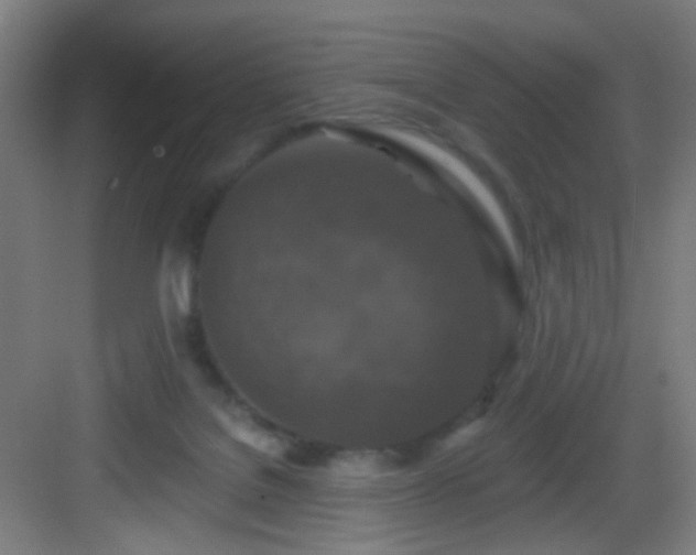 X0000082930076200702081552