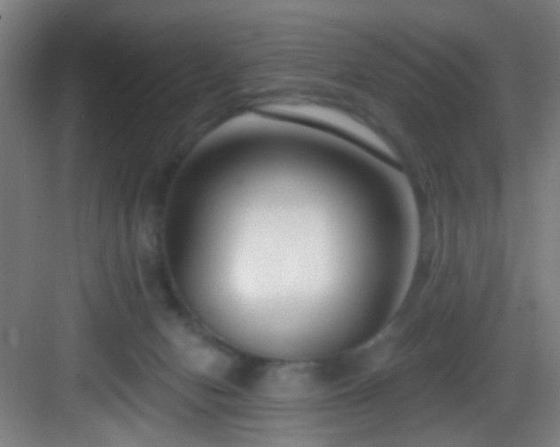 X0000082930078200702081552