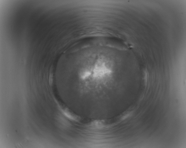 X0000082930080200702081552