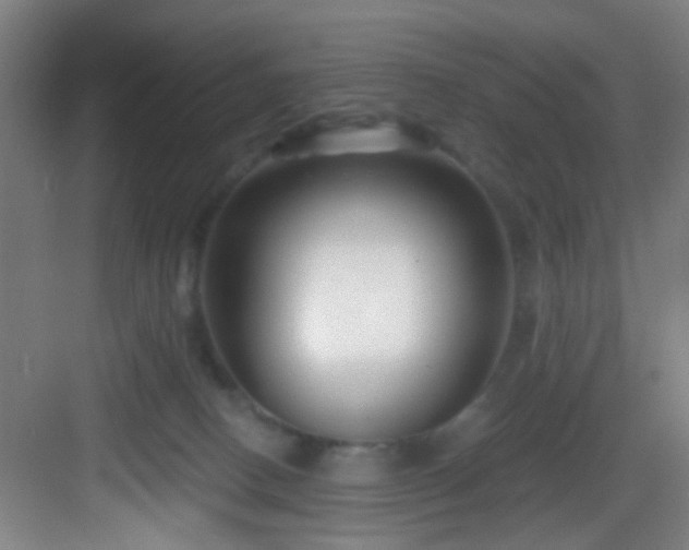 X0000082930082200702081552