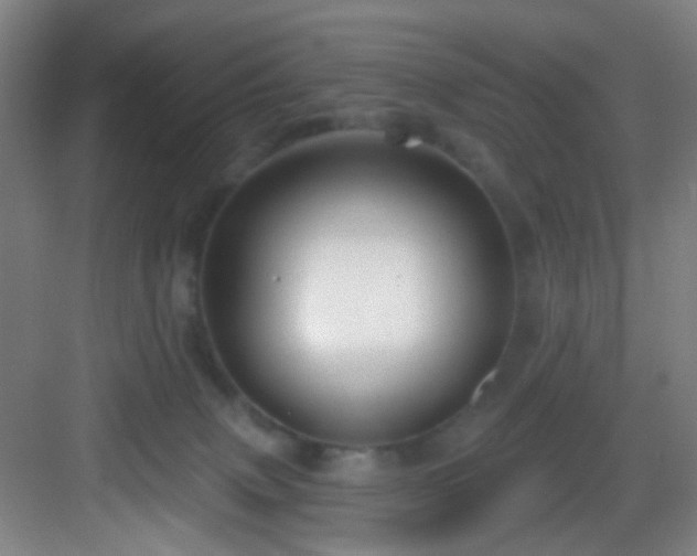 X0000082930083200702081552