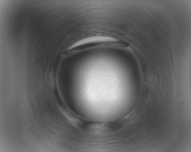 X0000082930086200702081552