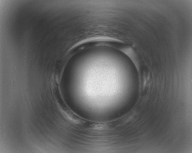 X0000082930088200702081552