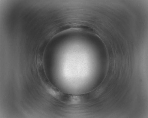 X0000082930091200702081552