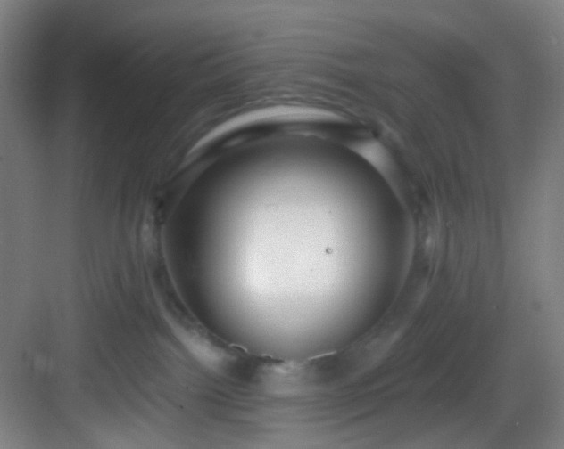 X0000082930092200702081552