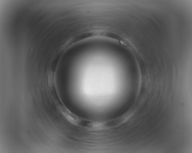 X0000082930093200702081552