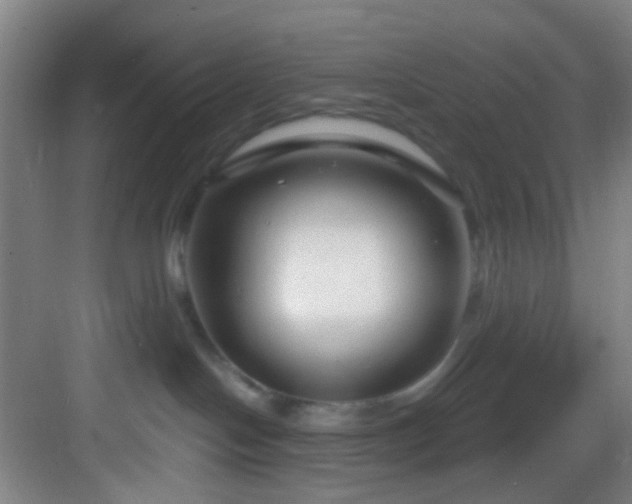 X0000082930094200702081552