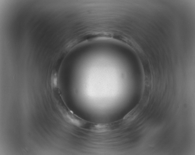 X0000082930095200702081552