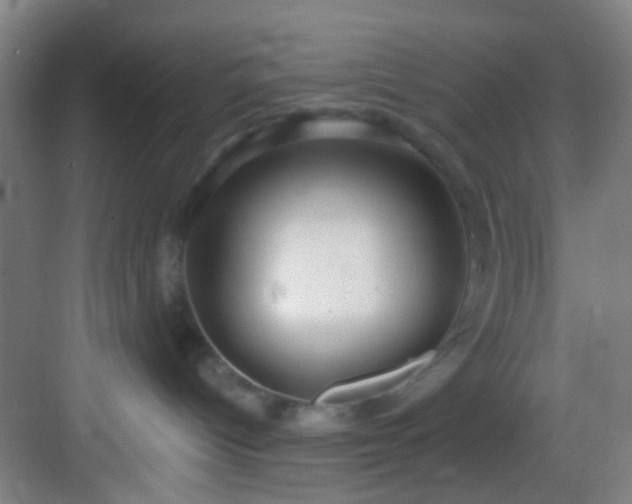 X0000082930096200702081552