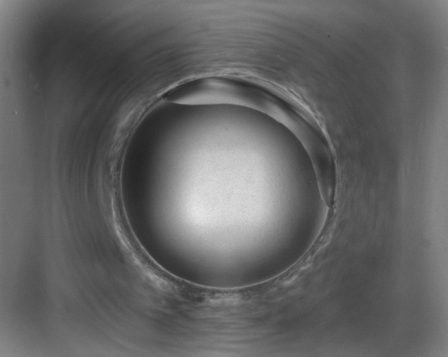 X0000082930097200702081551