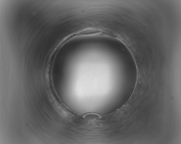 X0000082930098200702081551