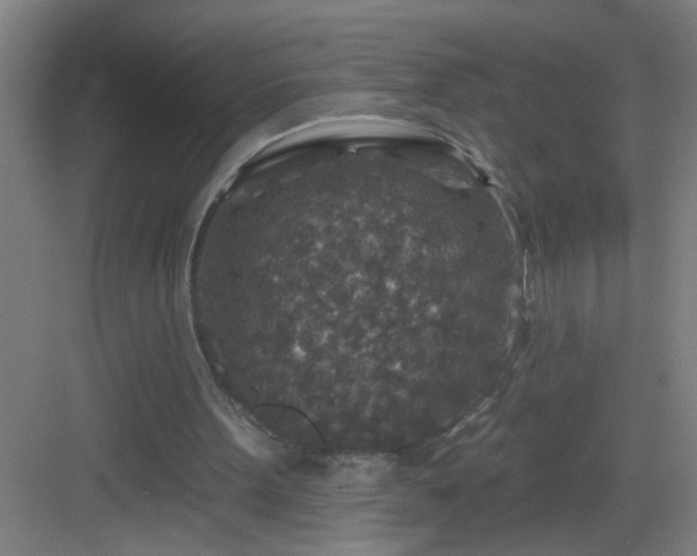 X0000082930099200702081551