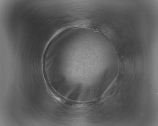 X0000082930100200702081551