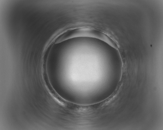 X0000082930101200702081551