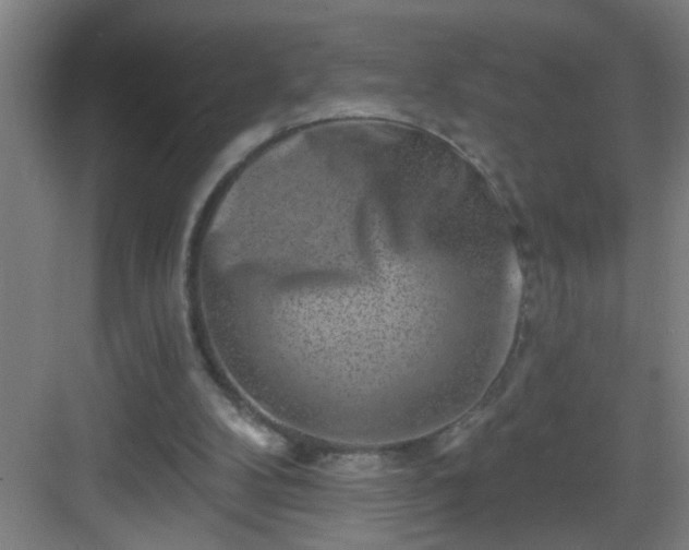 X0000082930104200702081551