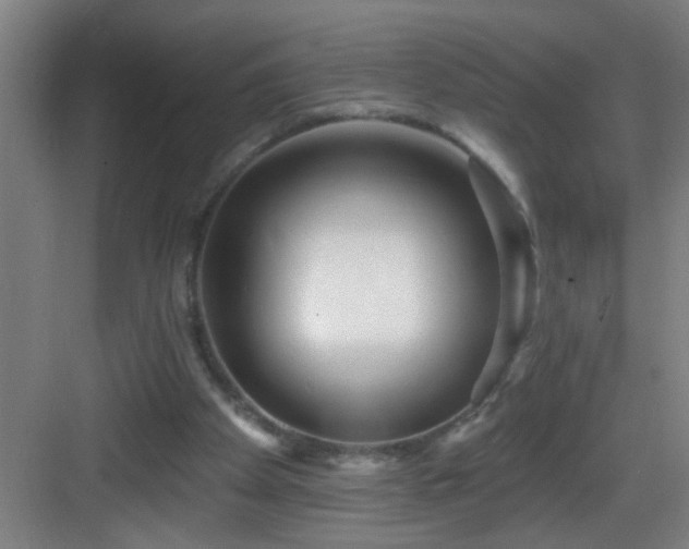 X0000082930105200702081551