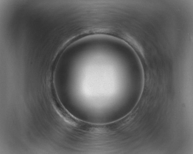 X0000082930107200702081551