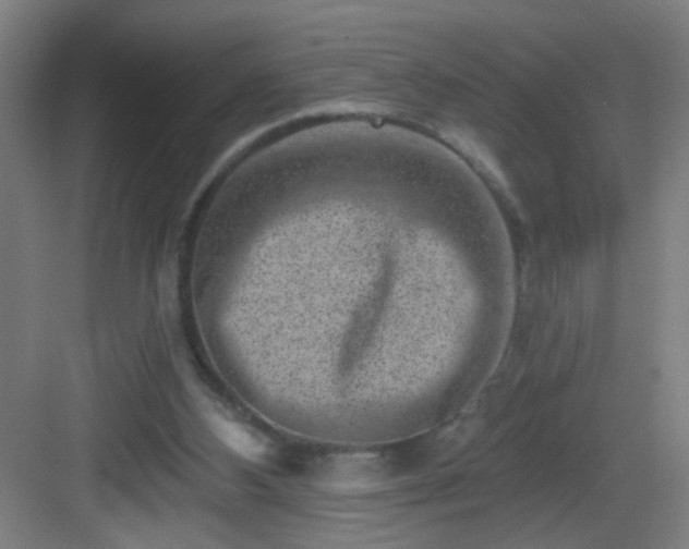 X0000082930108200702081551