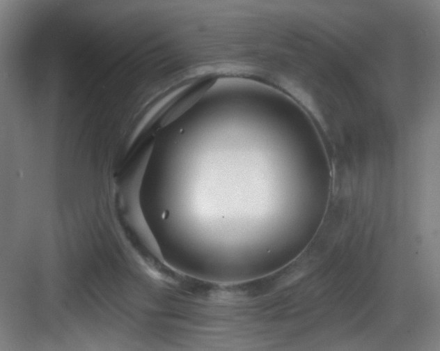 X0000082930109200702081551