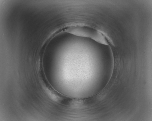 X0000082930110200702081551