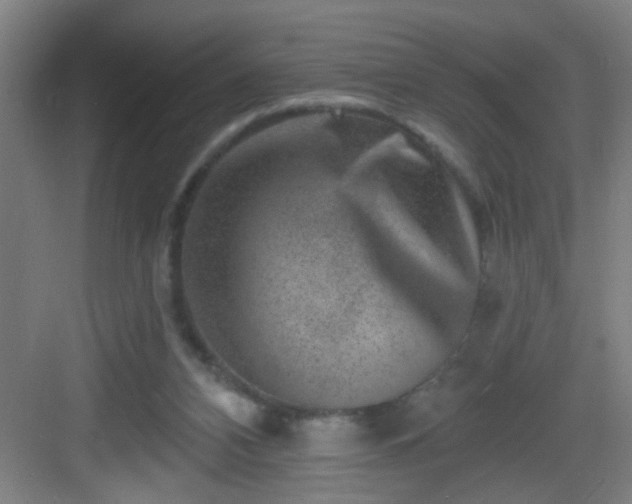 X0000082930112200702081551