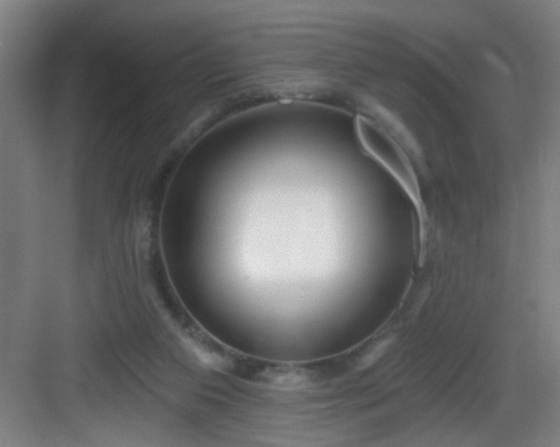 X0000082930113200702081551