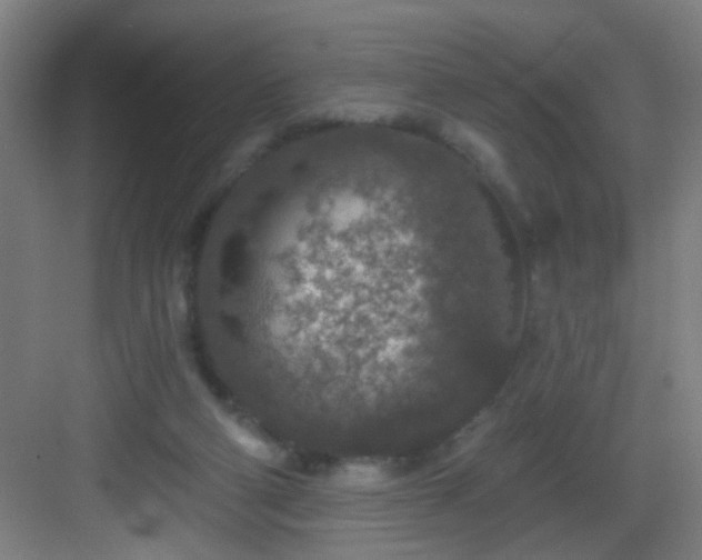 X0000082930114200702081551