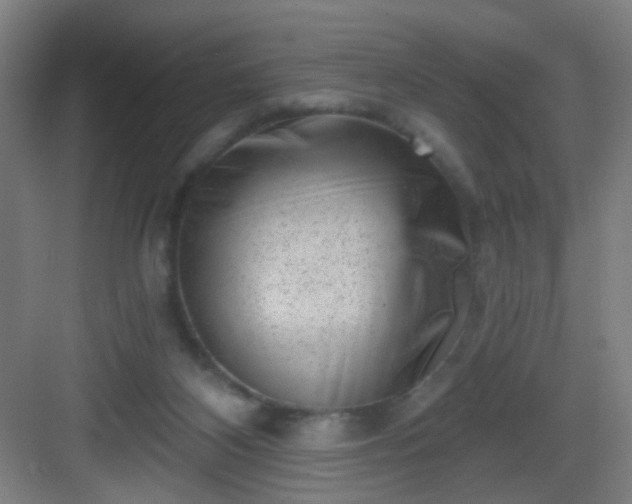 X0000082930116200702081551