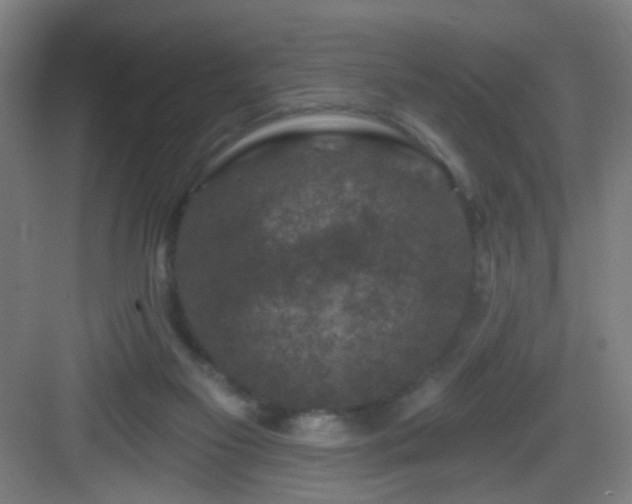 X0000082930117200702081551