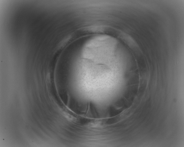 X0000082930120200702081551