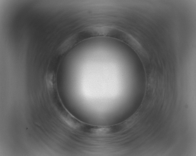 X0000082930122200702081551