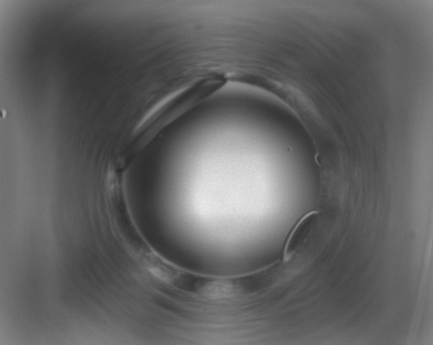 X0000082930123200702081551