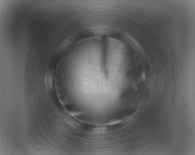 X0000082930124200702081551