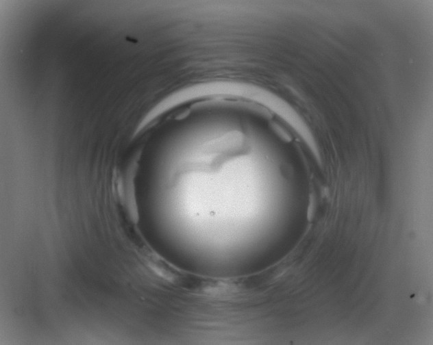 X0000082930125200702081551