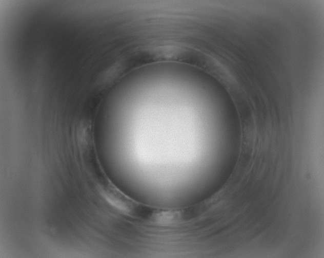 X0000082930126200702081551