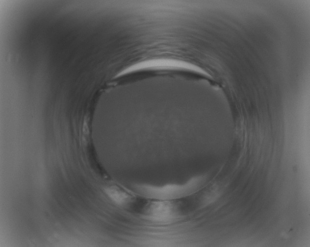 X0000082930127200702081551