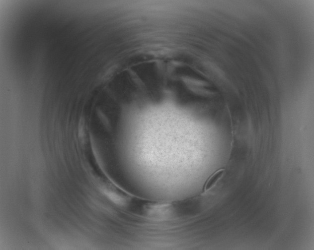 X0000082930132200702081551