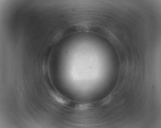 X0000082930134200702081551