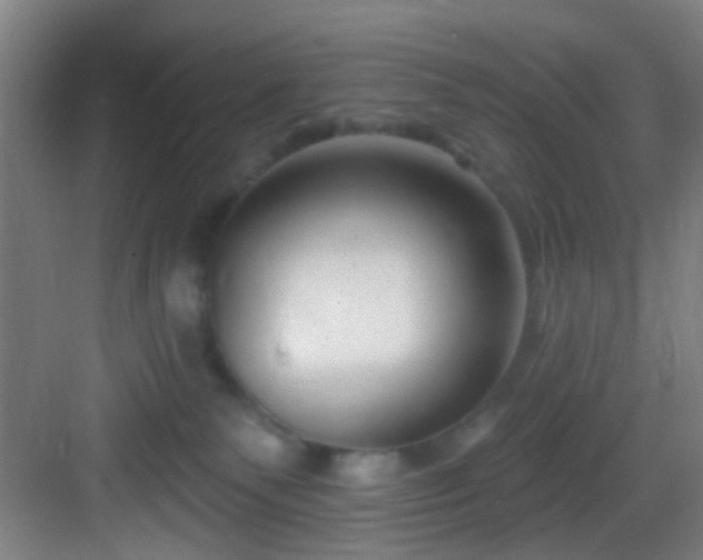 X0000082930135200702081551