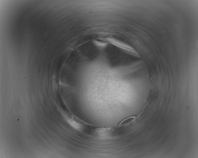 X0000082930136200702081551