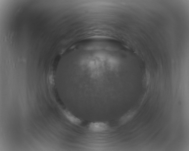 X0000082930137200702081551