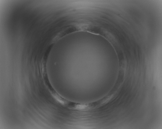 X0000082930139200702081551