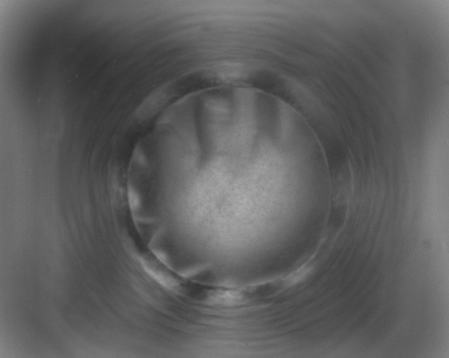 X0000082930140200702081551