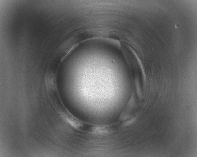 X0000082930141200702081551