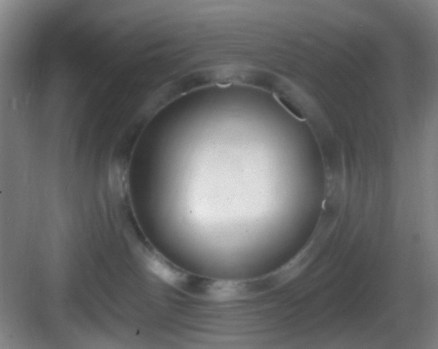 X0000082930142200702081551