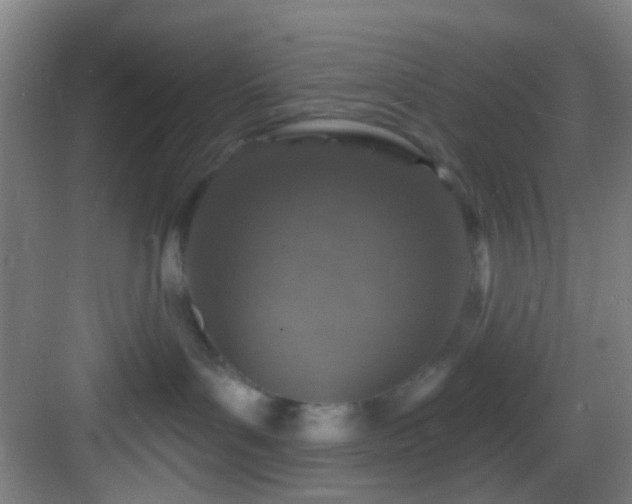 X0000082930143200702081551