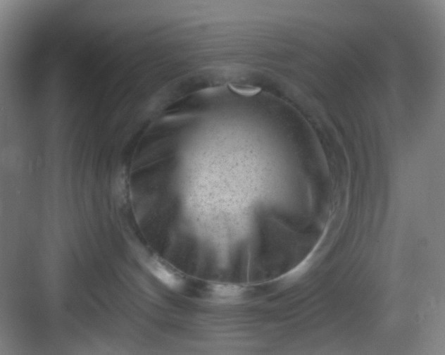 X0000082930144200702081551