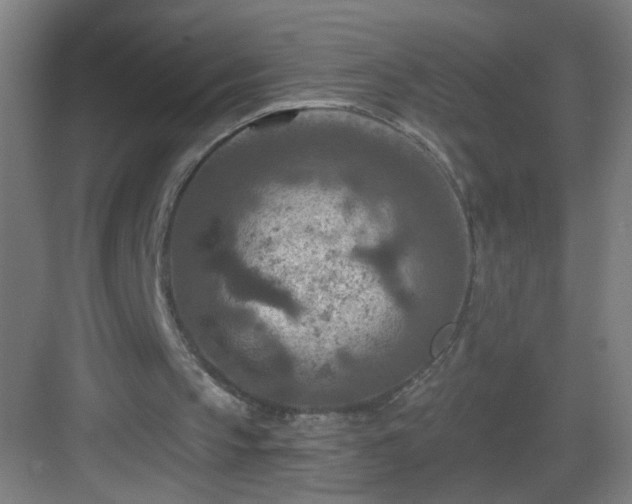 X0000082930145200702081550