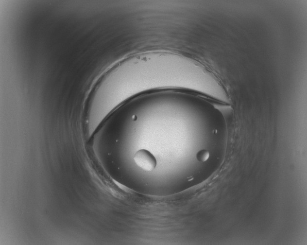 X0000082930146200702081550